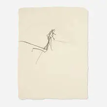 Jimmie Durham, (for example), 2009, graphite on cotton paper