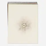Robert Beck, Emma .22, 1995, hollow point gun powder on spiral bound sketchbook