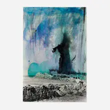 Huma Bhabha, Huma Bhabha, 2008, ink on C-print