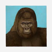Tom Palmore, Gorilla, oil on canvas