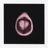 Alice Hargrave, Murmur, 1999, offset lithograph in colors