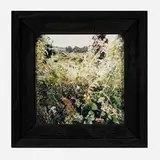 Jean-Luc Mylayne, No. 37-38, Août 1982 (for Parkett 50/51), 1997, C-print mounted to aluminum in artist's frame