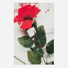 Georgina Starr, #47 Rose from the Clairvoyant, 1994, C-print
