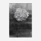 Pádraig Timoney, A Smoker's Eye, selenium toned gelatin silver print