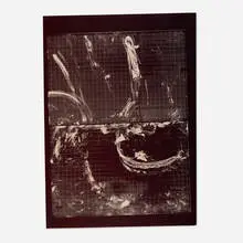 Richard Morrison, Tara #3805, graphite print on fabric