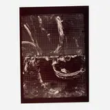 Richard Morrison, Tara #3805, graphite print on fabric
