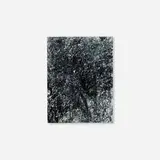 James Welling, 2/29II