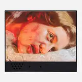 Tony Ousler, Untitled (Talking Photograph), 1996, color photograph in plastic artist's frame, audio recording