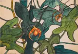 Jane Peterson, Orchid Study