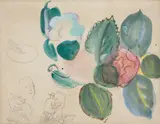 Raoul Dufy, Nature morte aux feuilles, gouache, watecolor and pencil on paper laid on board
