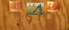 William S. Burroughs, Knotholes and Bulletholes, 1982, photos and gunshot holes on plywood