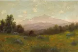 Charles Dorman Robinson, Poppies with Mt. Tamalpais in the Distance, oil on canvas on board