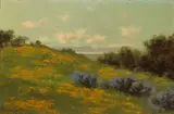 Charles Dorman Robinson, Hillside Poppies