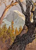 Gunnar Widforss, A View of Half Dome