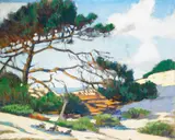 Arthur F. Musgrave, Landscape with Monterey Pine, watercolor and gouache on paper on board