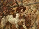 Edmund Henry Osthaus, Pointer Soft-Mouthing a Quail