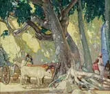 Richard Edward Miller, Cotton Silk Tree, St. Thomas, Virgin Islands
