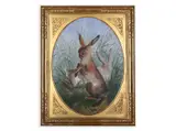 Josef Navrátil, Hares, First half of 19th century, Watercolour, cardboard