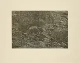 Franz Gertsch, Cima del Mar (Detail 9), 1992, Holzschnitt auf Japan
