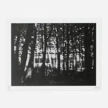 Peter Doig, Briey, Xerox on paper