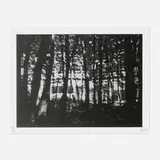 Peter Doig, Briey, Xerox on paper