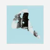 Ned Vena, Untitled (from the White Columns portfolio), 2014, vinyl cut out