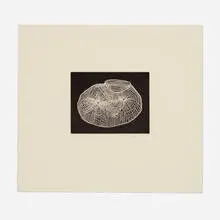Untitled I by Martin Puryear, 2002, aquatint on Rives Lightweight Buff, sold Sep 2022