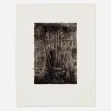 Jasper Johns, Savarin I (Cookie), 1978, lithograph on Richard de Bas