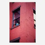 Jennifer Bolande, Globe Sightings, 2001, digital C-print mounted to Plexiglas