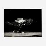 Harold Eugene Edgerton, Tennis, Forehand Drive, Jenny Tuckey