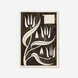 Aubrey Vincent Beardsley, Three Stylized Clematis Flowers, 1893, pen and ink on paper