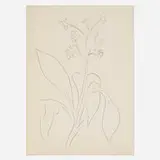 Ellsworth Kelly, Camphor, graphite on paper