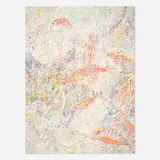 Nancy Graves, #2 Camouflage Series