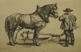 Hans Volkert, Untitled, 1878-1940) An Ardennes heavy horse with horseman and plough etching