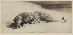 Untitled by Herbert Dicksee, Herbert Thomas Dicksee RE (1862-1942) ‘Leopard and Jungle Fowl’ original etching on paper, sold Sep 2021