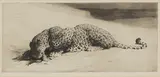 Herbert Dicksee, Untitled, Herbert Thomas Dicksee RE (1862-1942) ‘Leopard and Jungle Fowl’ original etching on paper