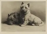 Herbert Dicksee, Untitled, both waiting patiently original etching on paper