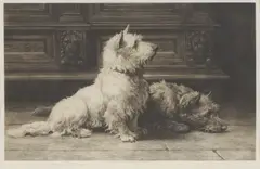 Untitled by Herbert Dicksee, two terriers eagerly anticipating an arrival original etching on vellum, sold Sep 2021