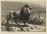 Herbert Dicksee, Untitled, about to attack original etching on paper
