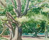 Maximilien Luce, Tree Study; Pastoral Landscape (2)