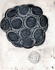 Untitled by Terry Winters, 1987, mixed media on paper, sold May 2008