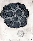 Terry Winters, Untitled