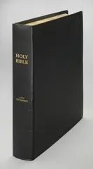 David Hammons, The Holy Bible: Old Testament, 2002, 1002 pages, 225 color plates, leather-bound soft cover, gilt edged, gold tooling, plus slipcase