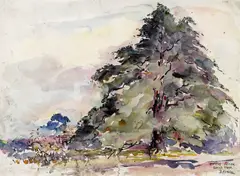 Hortus Leiden, Glinko Tree by Joseph Raphael, watercolor on paper, sold Apr 2008