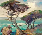 Orrin A. White, Seaside Cypress