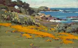 John Marshall Gamble, Poppies and Yellow Lupine, Point Lobos