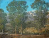 William Louis Otte, Hillside Grove in Summer, Santa Barbara
