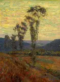 Benjamin Brown, Summer Sunset and Eucalyptus, oil on canvas