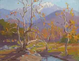 Marion Wachtel, Mount Baldy