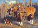 John Moyers, Evening Sun